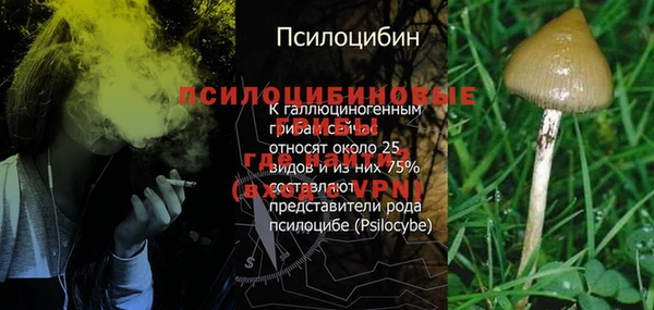 спайс Белокуриха