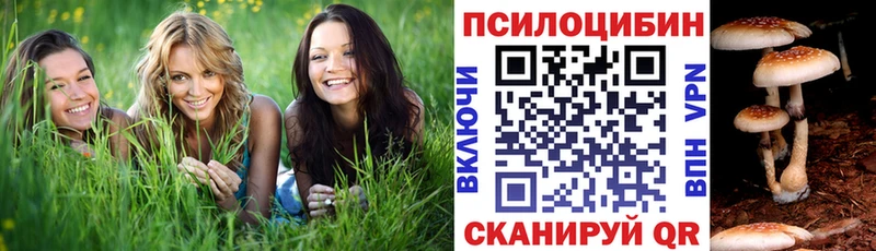 Купить закладки  Ворсма  Галлюциногенные грибы ЛСД 